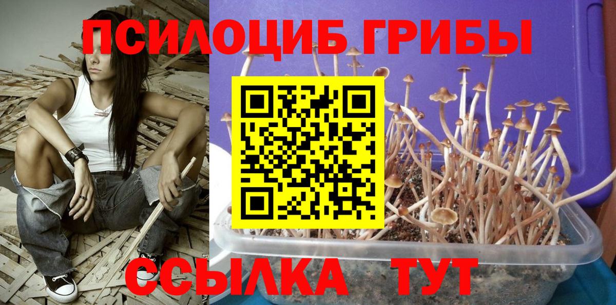 Псилоцибиновые грибы Magic Shrooms Добрянка