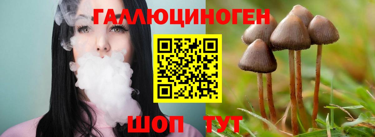 Галлюциногенные грибы мицелий  Вход с VPN  Добрянка  Псилоцибиновые грибы прущие грибы 